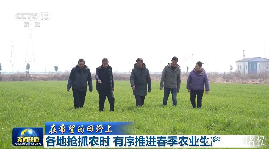 【在希望的田野上】各地抢抓农时有序推进农业生产